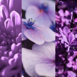 8x4 Deodorant Spray N°4 Vibrant Flower 7 8x4 Deodorant Spray N°4 Vibrant Flower -Satin Naturel Shop MAM 7311465 SHOP IMAGE 1.4