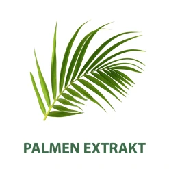 Palmolive MEN Rasiercreme Classic 8 Palmolive MEN Rasiercreme Classic -Satin Naturel Shop MAM 8390184 SHOP IMAGE 1.4