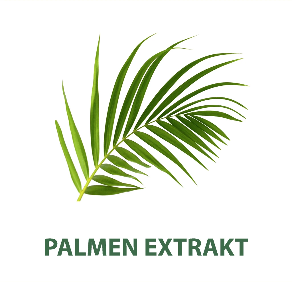 Palmolive MEN Rasiercreme Classic 3 Palmolive MEN Rasiercreme Classic – Bild 3