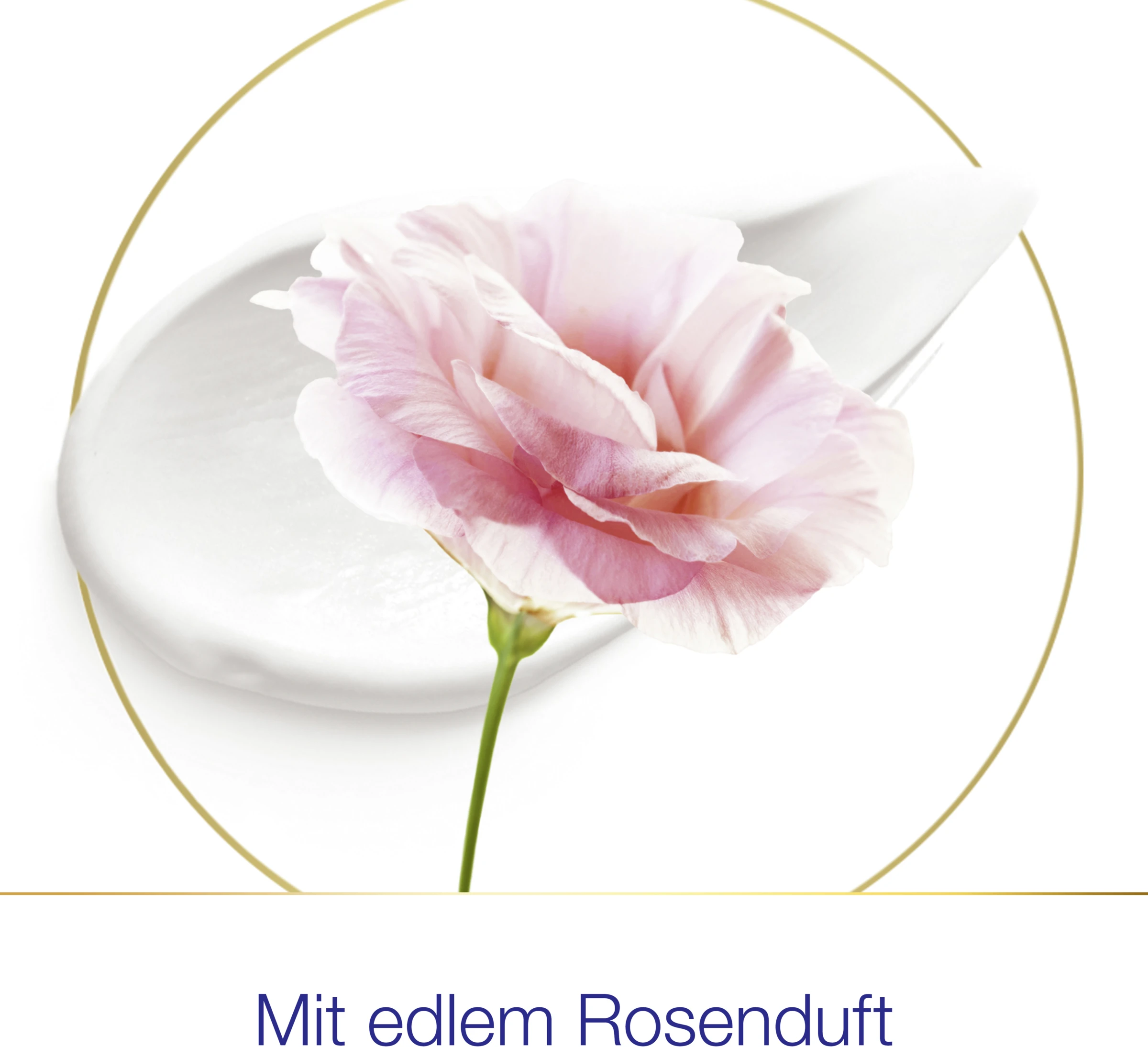 DOVE Deo Spray Rosenduft 3 DOVE Deo Spray Rosenduft – Bild 3
